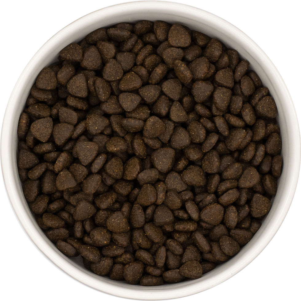Harry's Superfood 65 Puppy Food Scottish Salmon