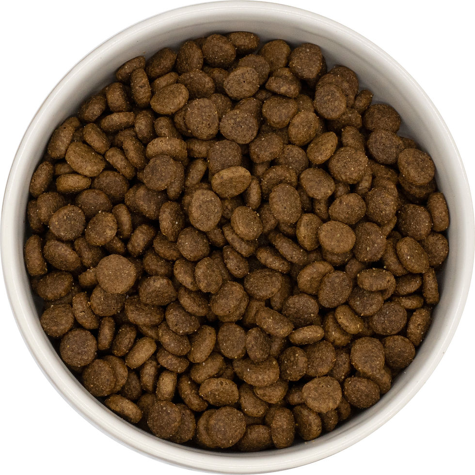 Harry's Super Premium Adult Cat Food Chicken