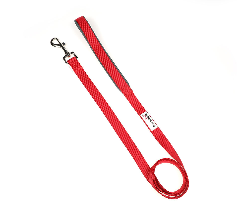 Thumbnail: Doodlebone Padded Lead Plain Colours