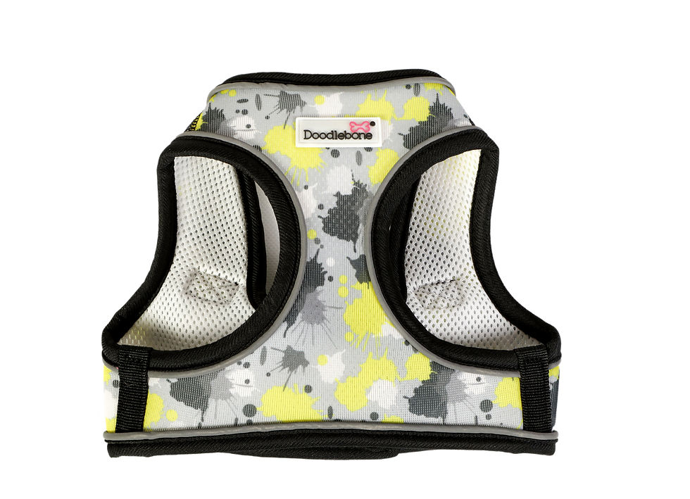 Doodlebone Snappy Harness Neon Paint Splat