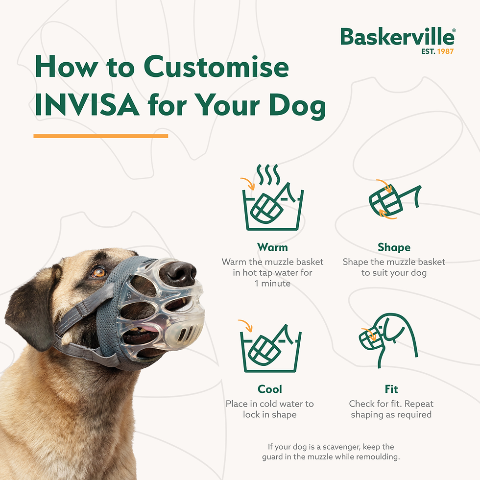 Thumbnail: Baskerville INVISA