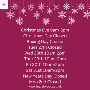 Christmas Opening Hours