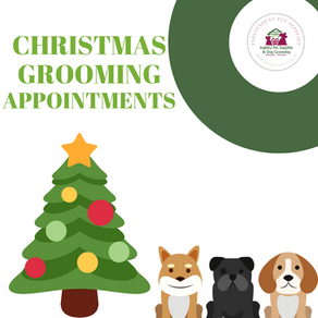 Christmas Grooming Appointments