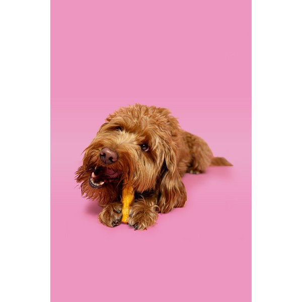 Pawtential Collagen Chew