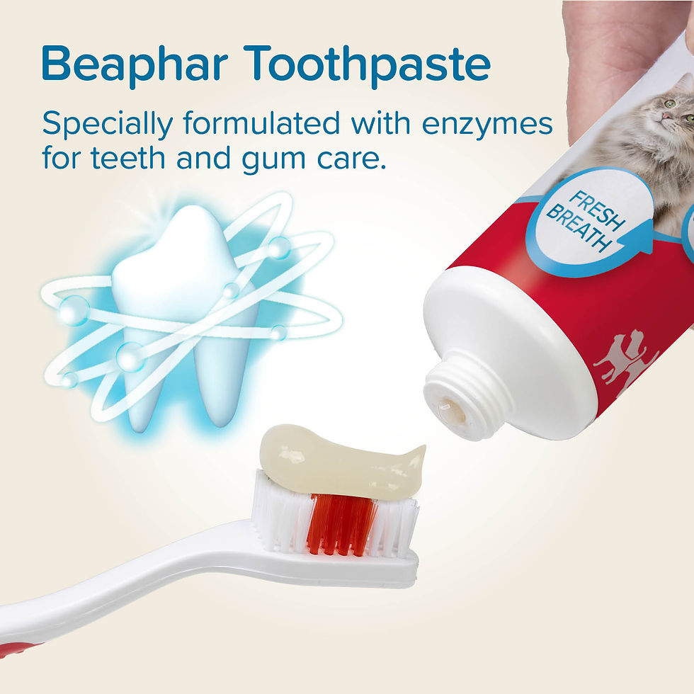 Thumbnail: Beaphar Liver-Flavour Toothpaste with Enzymes for Cats and Dogs, 100g