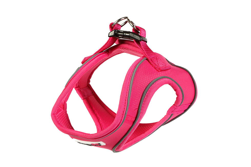 Thumbnail: Doodlebone Snappy Harness Fuschia