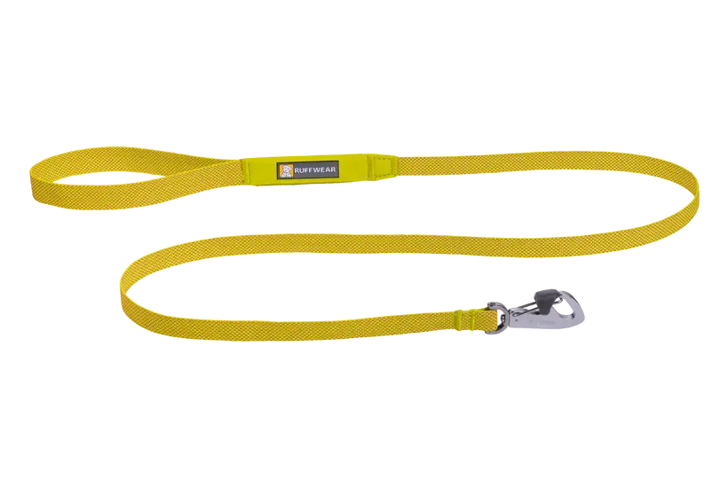 Hi & Light Lead