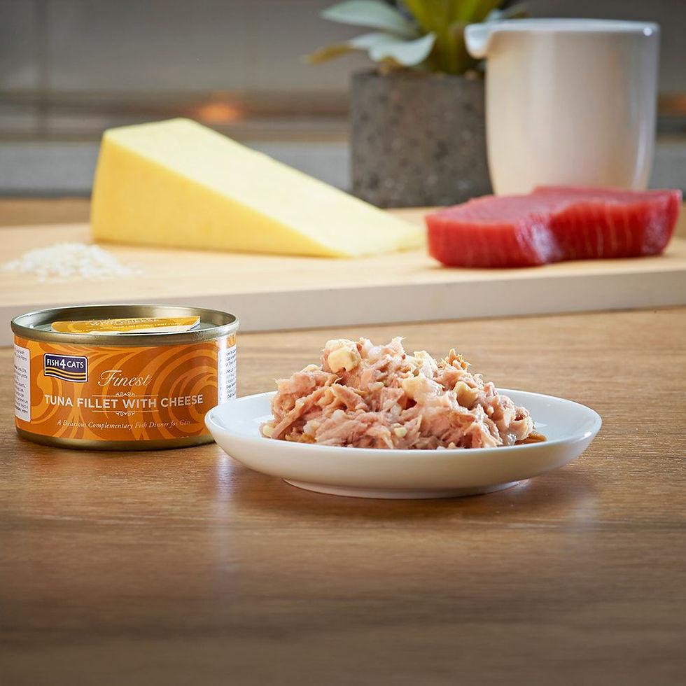 Thumbnail: Fish4Cats Tuna Fillet with Cheese