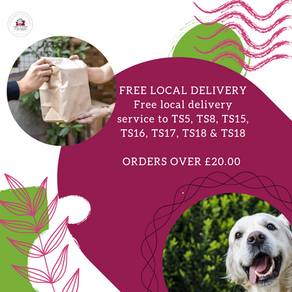 Local Delivery Service