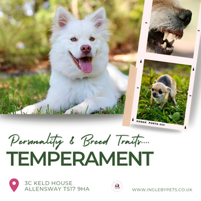 Breed temperament.