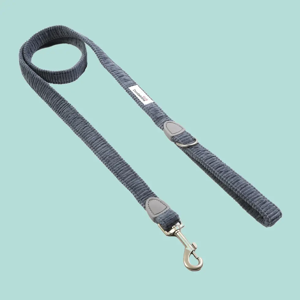 Thumbnail: Doodlebone Dinky Dog Lead