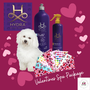 Valentines Spa Package