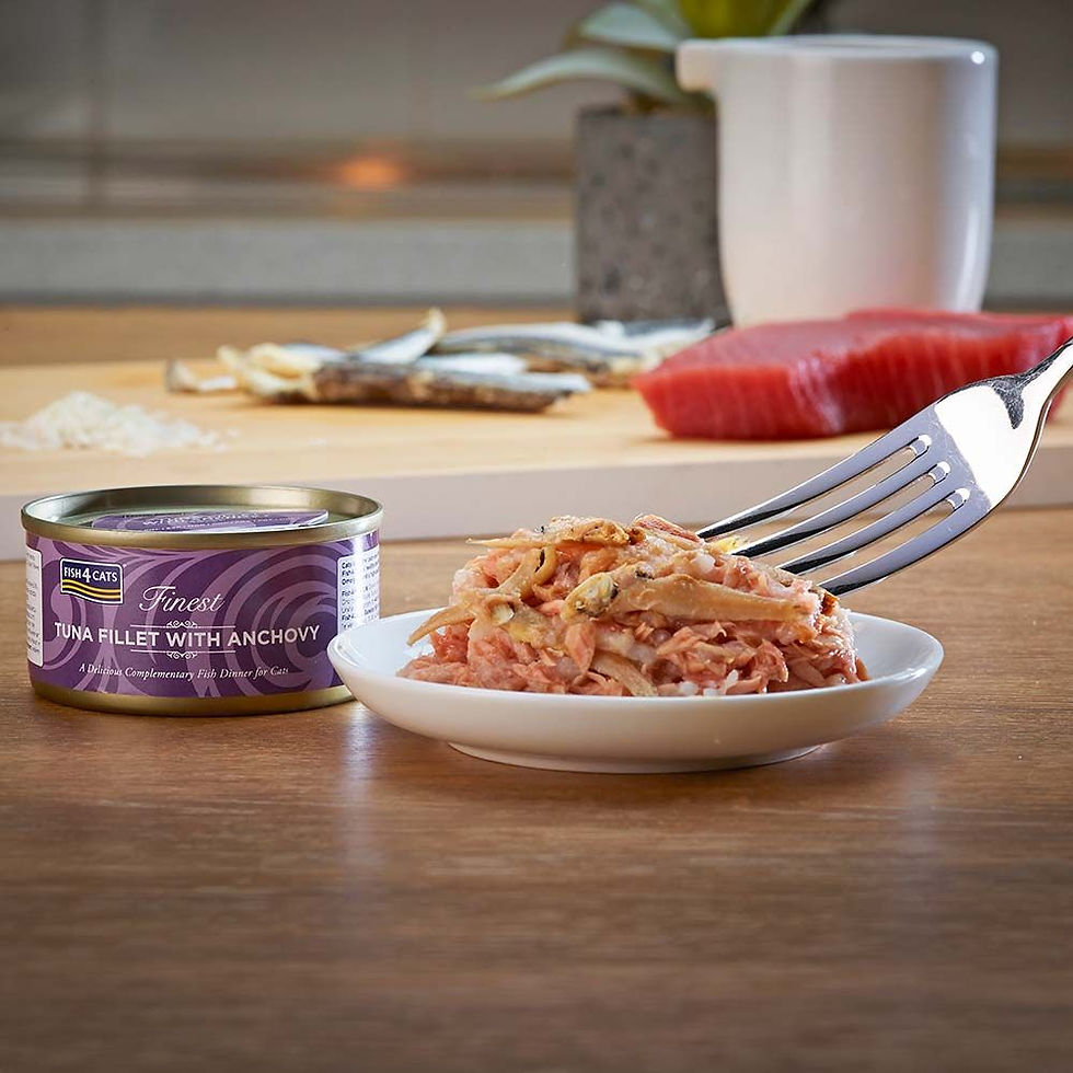 Thumbnail: Fish4Cats Tuna Fillet with Anchovy