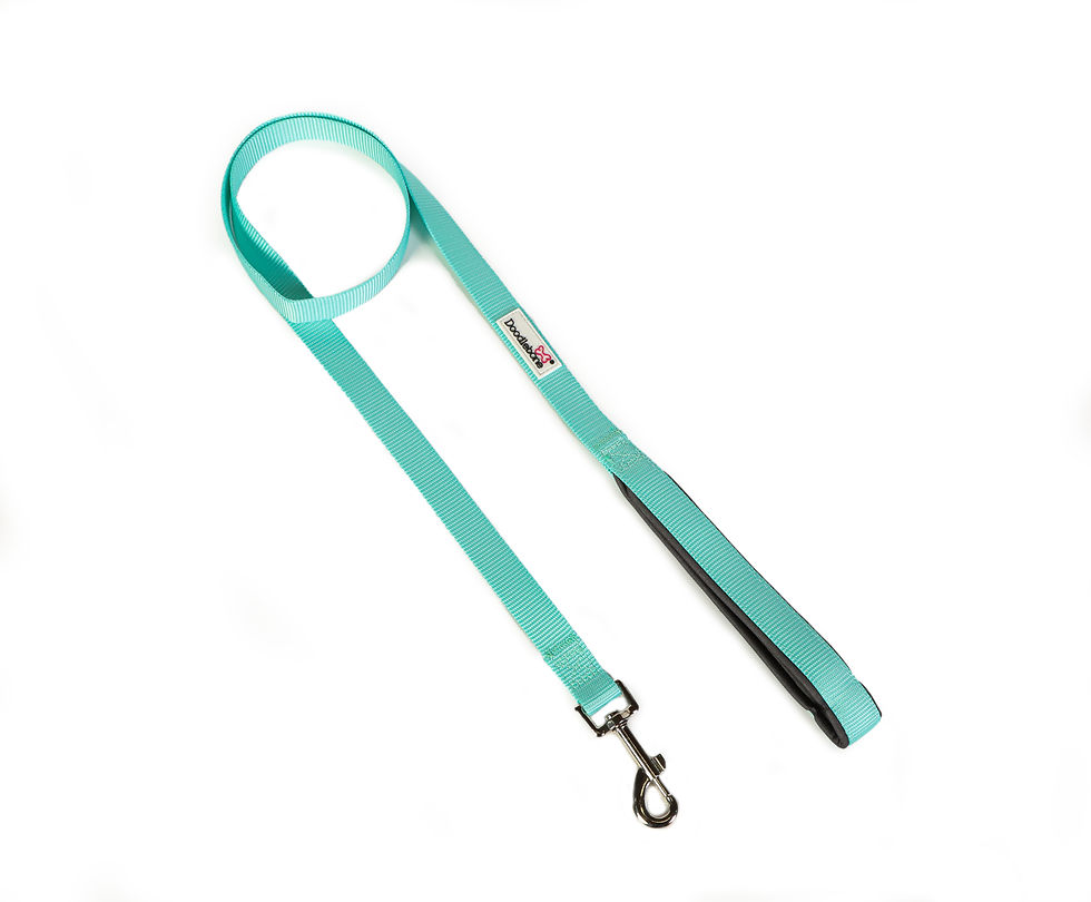 Thumbnail: Doodlebone Padded Lead Plain Colours