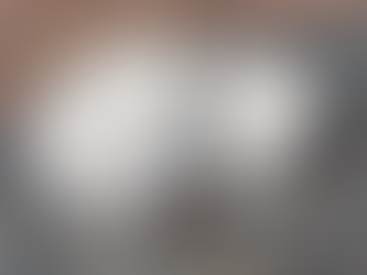 Prototype of a paper closure