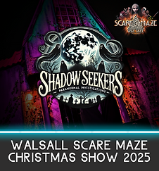 walsall christmas.png