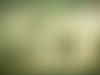 The Fed's New Chair and New Interest Rates