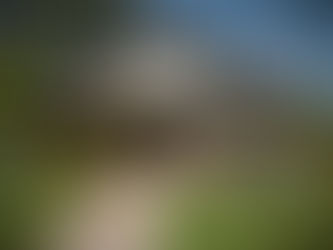 Single-Family American Craftsman Home Construction