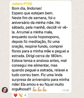 print programa 1.jpg