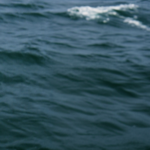 How to choose the right underwater camera for marine monitoring in UK coastal waters