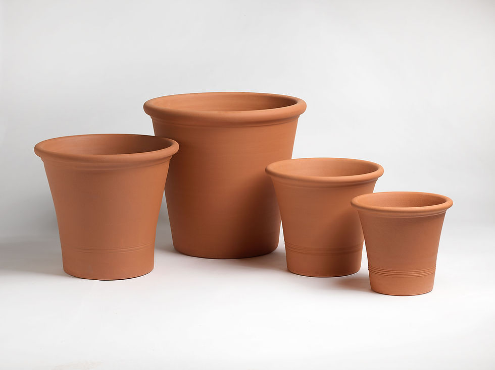 Thumbnail: Terracotta Tree Pot