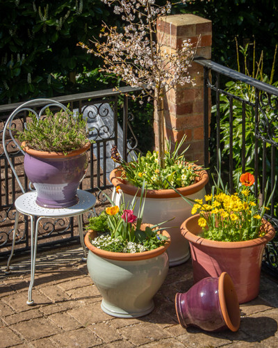 Bellied Planter