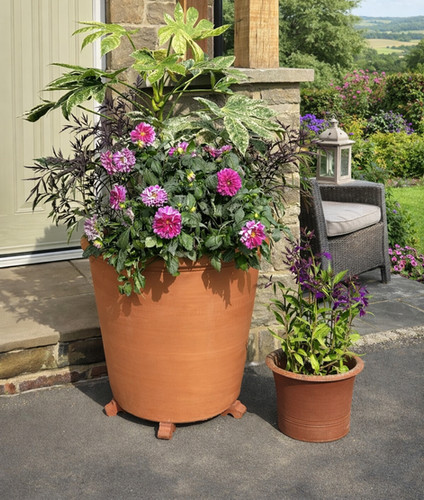 Terracotta Tree Pot
