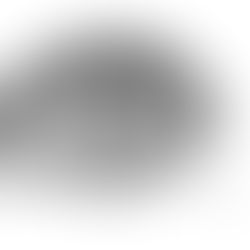 It is my eyes which see, and the sight of my eyes grants beauty TO THE EARTH