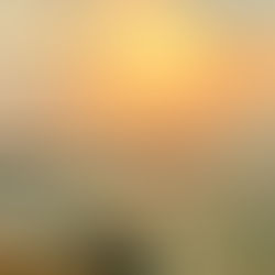 Beautiful sunsets need cloudy skies