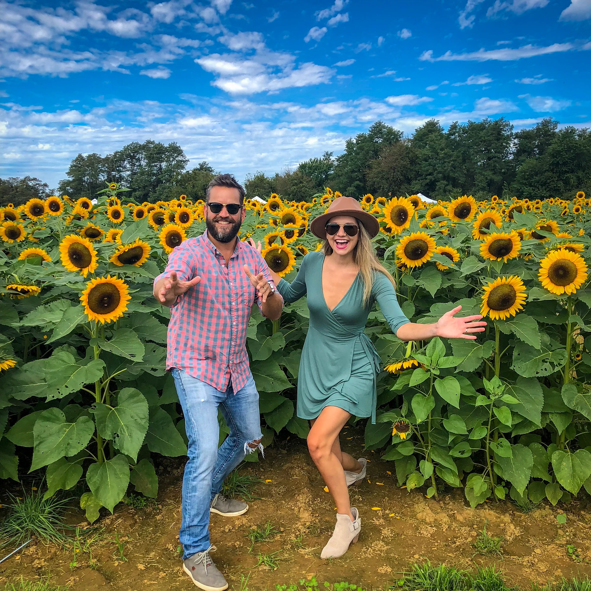 Sunflower Festival At Holland Ridge Farms
