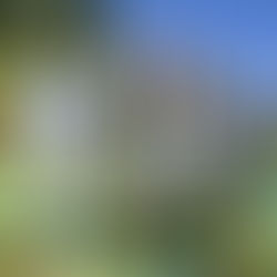 Blue Bails Day... Thanks for joining in...