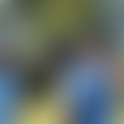 Vets split the points