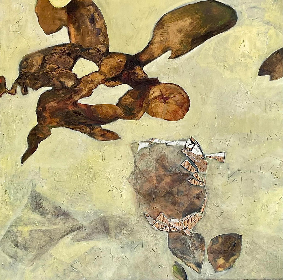 100x100 cm