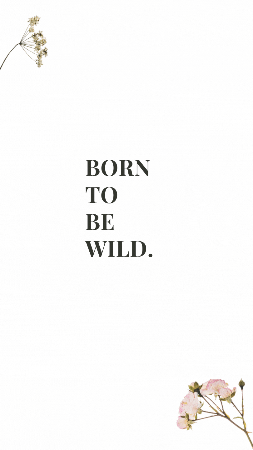 Entrada Carolinaortiz entrada-carolinaortiz