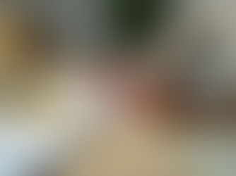 Conseils et accompagnement à la création d’entreprise : un accompagnement adapté à vos besoins