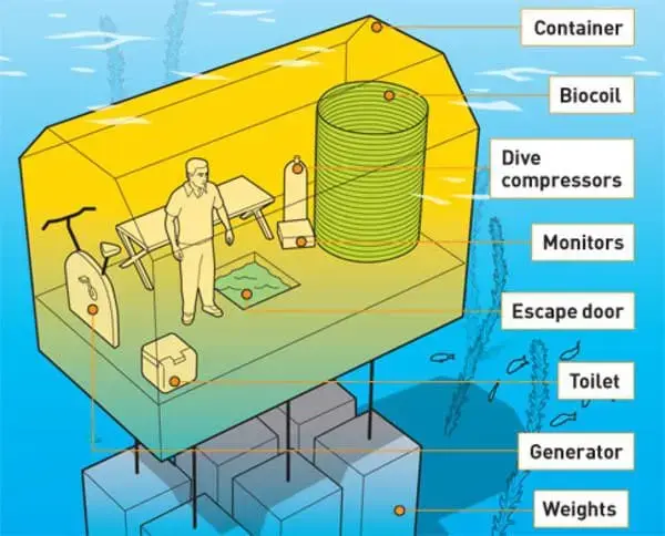 The BioSUB Project