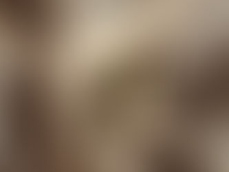 こちらがエリリンです！