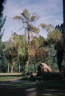 IMG_6653.jpg