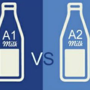 A2 milk: The elixir for the mankind