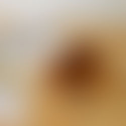 Pastís de pastanaga