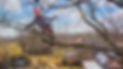 DJI_0045 Kopie.jpg