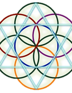 LOGO SEEDS SEM FUNDO_edited.png