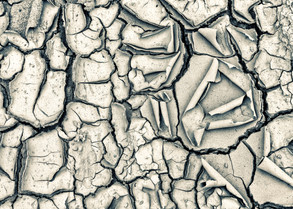 Dry