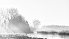 Sunlight