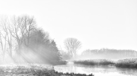 Landschap_Sunlight.jpeg