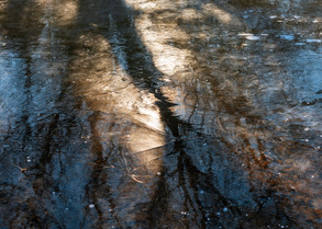 Ice