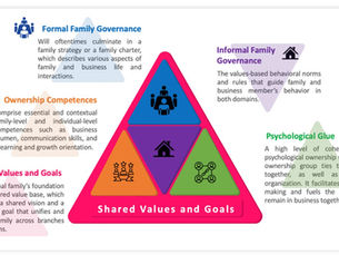 Elements of Business Family Professionalization