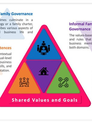 Elements of Business Family Professionalization