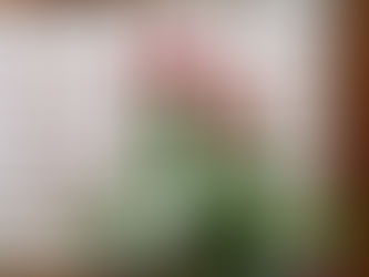 西麻布(六本木)の象寛書道教室、1月の開催日は、1月13日と1月27日です!