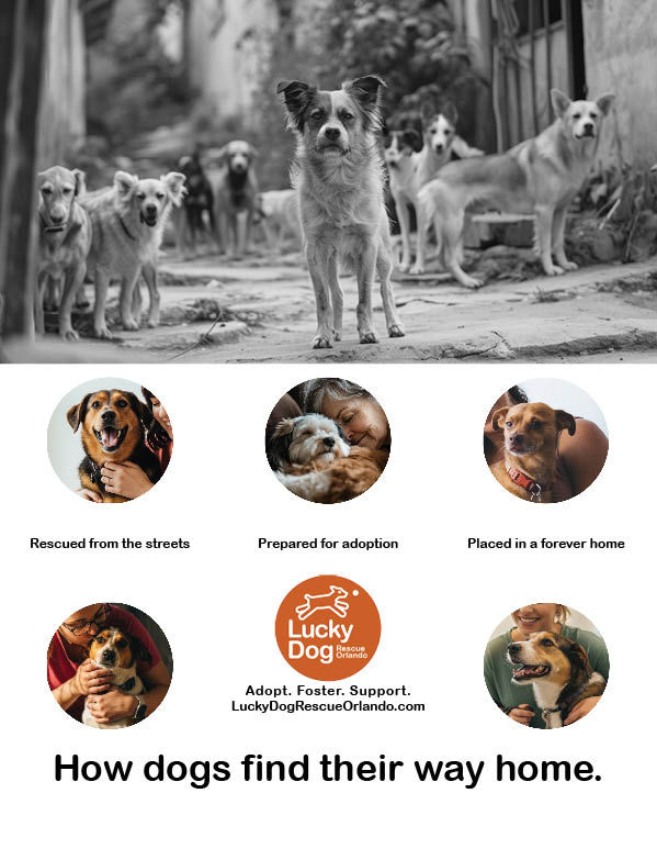 JudgeC_MDM555_Wk1_AD2.indd